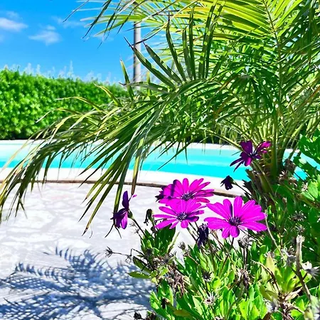 Four Elements With Private Pool And Sea View